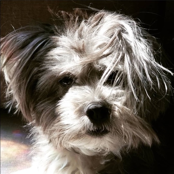 Meet your Posher, Stephanie. - Picture 4 of 11